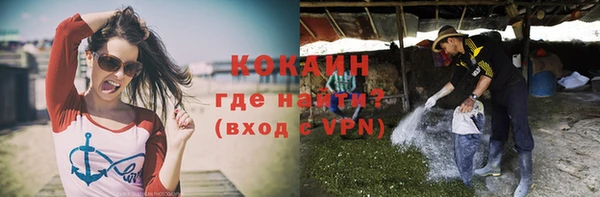 дживик Вязьма