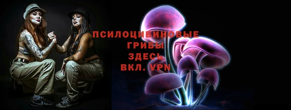 МДПВ Вязники